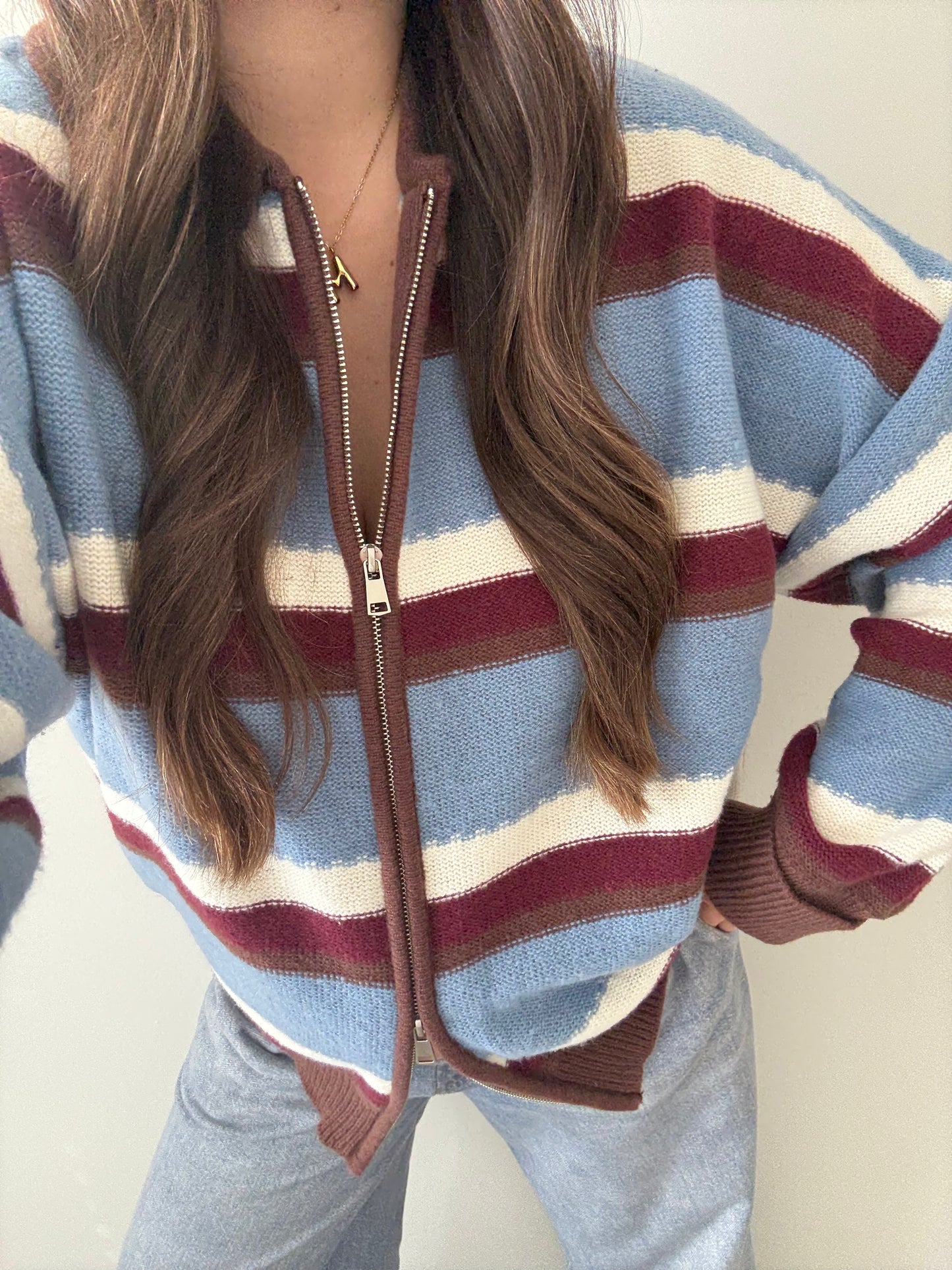 Fairbanks Zip Up Sweater Jacket, Blue/Brown